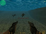 Counter-Strike