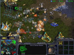 Starcraft