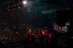 Toadies